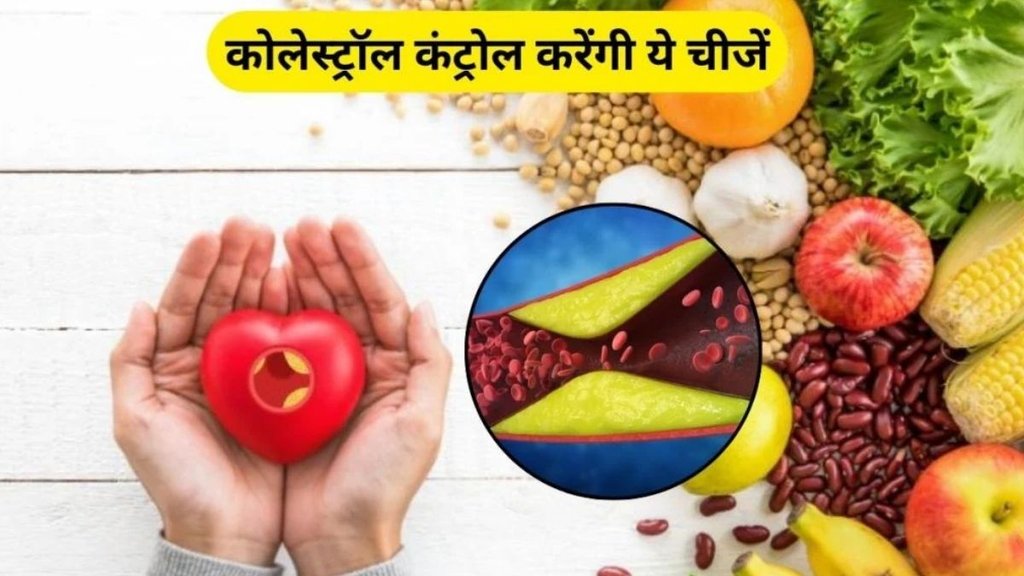 Cholesterol Control Foods, Cholesterol Control, Cholesterol, cholesterol kam karne ke kya khaye, Cholesterol reduce tips in hindi