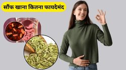 क्या खाने के बाद सौंफ खाना लाभकारी, एसिडिटी और गैस के लिए कितनी फायदेमंद, जानिए क्या कहती है रिसर्च?