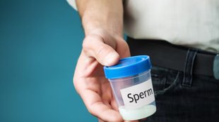 sperm donor, onlne sperm donor, sperm count, sperm donor online, sperm donor, If you are looking sperm donor online