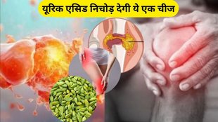 benefits of cardamom, cardamom for uric acid, cardamom for uric acid control, uric acid control, elaichi ke fayde in hindi
