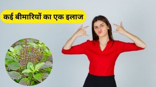 acharya balkrishna tips, acharya Balkrishna, acharya balkrishna tips for health, acharya Balkrishna gharelu upay