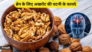 Walnut, benefits of walnuts, walnut benefits, walnut for boost memory, walnut for brain power, walnut for nutrient deficiency