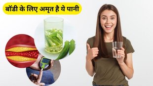 Lady Finger Benefits, benefits of lady finger, lady finger, lady finger for Cholesterol, lady finger for sugar control