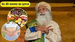 पेट और आंतों की सफाई के लिए इन फल और सब्जियों शुरू कर दें खाना, सद्गुरु जग्गी वासुदेव से जानिए इस्तेमाल और फायदे