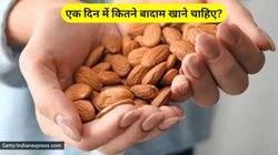 फौलादी शरीर के लिए दिन में कितने बादाम खाएं? इन 4 बीमारियों से मिल जाएगा छुटकारा, जानिए फायदे