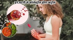 नसों में जमा सारा कोलेस्ट्रॉल निचोड़ देगी इन 3 चीजों से बनी चटनी, ये 5 बीमारियां भी हो जाएगी छूमंतर