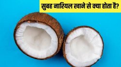 रोजाना इस सफेद चीज को खाने से शरीर के अंग-अंग पर होगा असर, बॉडी के आसपास भी नहीं भटकेंगी ये 3 बीमारियां, एक्सपर्ट से जानिए फायदे