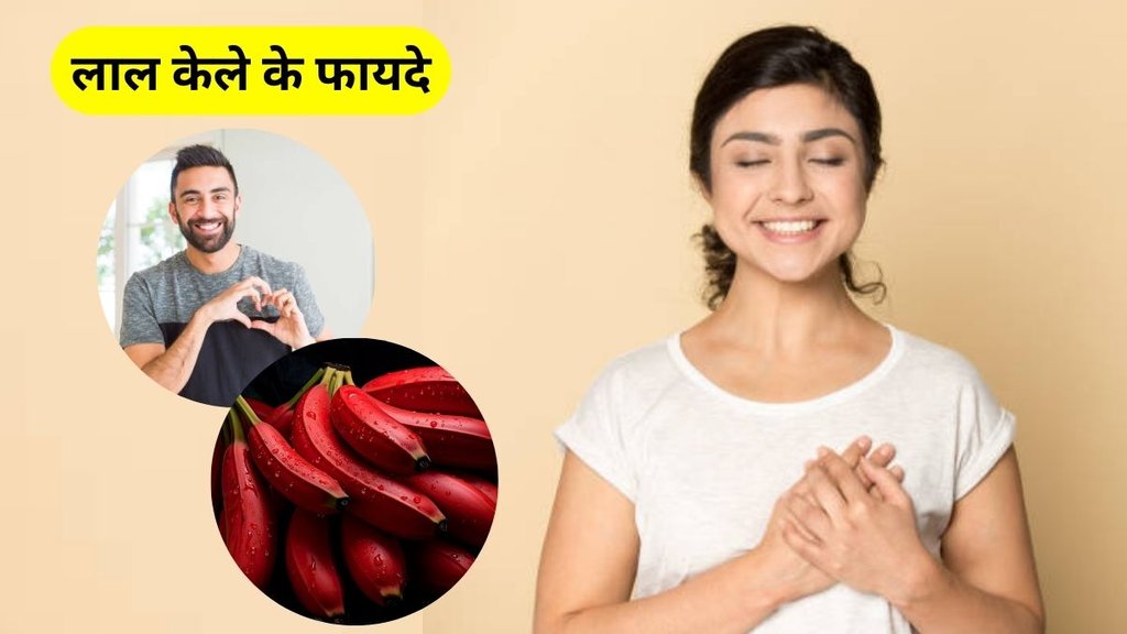 Red Banana Benefits, Benefits of Red Banana, Red Banana for sugar, Red Banana for bp control, lal kele ke fayde in hindi, lal kele ke fayde