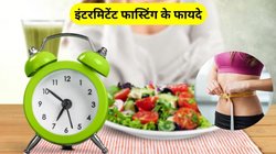 वजन घटाना चाहते हैं तो फॉलो करें 16:8 इंटरमिटेंट फास्टिंग प्लान, एक्सपर्ट से जानिए Intermittent Fasting डाइट शेड्यूल