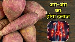 सही से साफ नहीं हो पाता पेट तो ये सुपरफूड करेगा मदद, ब्लड शुगर भी रहेगा कंट्रोल, जानिए कैसे करें इस्तेमाल