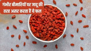 Goji Berry, benefits of Goji Berry, Goji Berry Benefits, Blood pressure, sugar control, Goji Berry ke fayde in hindi, Goji Berry ke fayde