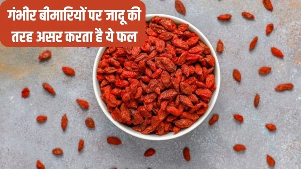 Goji Berry, benefits of Goji Berry, Goji Berry Benefits, Blood pressure, sugar control, Goji Berry ke fayde in hindi, Goji Berry ke fayde