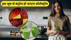 हाई कोलेस्ट्रॉल को नेचुरल तरीके से कंट्रोल कर देगा ये जूस, आयुर्वेद एक्सपर्ट आचार्य बालकृष्ण से जानिए कैसे करें इस्तेमाल