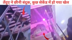 लखनऊ शादी समारोह में घुसे तेंदुए ने पुलिसकर्मी की राइफल कैसे छीन ली, VIRAL Video देख गुम हो जाएगी सिट्टी-पिट्टी