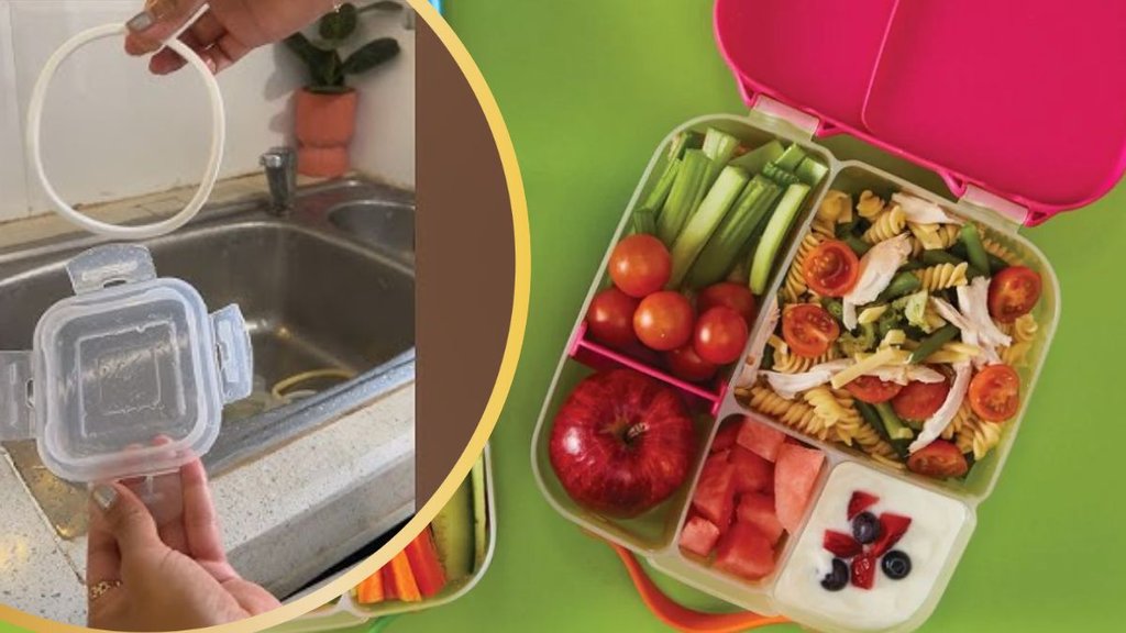 How to clean a pack it lunch box