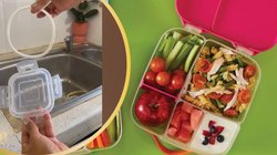 कैसे साफ करते हैं आप Lunch box और Tiffin? चेक करें कहीं कोई गंदगी तो नहीं रह गई
