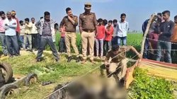 मैनपुरी में 4 माह तक बंधक बनाकर पत्नी से गैंगरेप, केस में गवाह बने पति को डीजल डालकर जिंदा जलाया, रूह कंपाने वाली वारदात