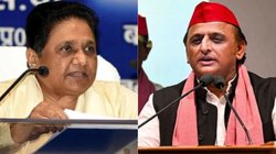 BSP नहीं लड़ी तो मिल्कीपुर उपचुनाव कैसे हारी सपा? मायावती ने अखिलेश से मांगा जवाब; दिल्ली चुनाव को लेकर दिया बड़ा बयान