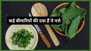 curry leaves for stomach problems,curry leaves weight loss,curry leaves powder,curry leaves water,curry leaves uses,