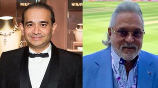 nirav modi | vijay Mallya | Kerala High Cour