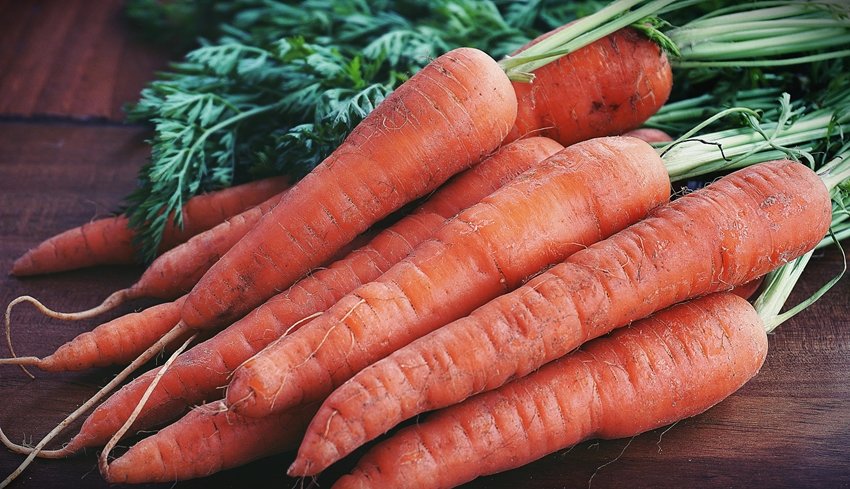 Carrots food