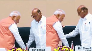 pm modi sharad pawar, pm modi news, pm modi news hindi,