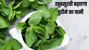Pudina detox water benefits