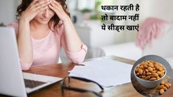 काजू बादाम से ज्यादा ताकतवर हैं ये सीड्स, रोजाना मुट्ठी भर खाने से अमृत की तरह करेंगे असर, एक्सपर्ट से जानिए कैसे