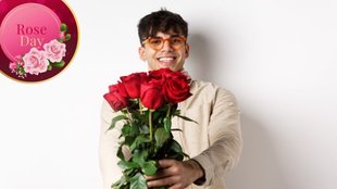 Happy Rose Day 2025 Wishes Status, Images, Quotes, SMS, Messages, Shayari,