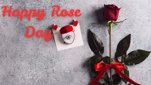 Happy Rose Day 2025: Wishes Images, Quotes, Status