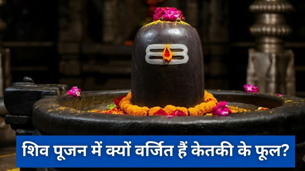 Mahashivratri 2025, Ketaki Flowers, Mahashivratri Puja, Mahashivratri 2025 Date, Mahashivratri 2025 Tithi, When is Mahashivratri 2025, Mahashivratri 2025 Me Kab Hai, Mahashivratri Importance, Mahashivratri Significance, Why Ketaki Flower Is Prohibited In Shiv Puja