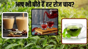 Black Tea। Green Tea। Kashmiri Kahwa