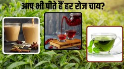 दूध वाली चाय से हो गए हैं बोर तो ट्राई करें ये Tea, इम्यूनिटी बूस्ट के साथ स्ट्रेस से रहेंगे कोसो दूर