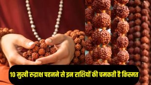 10 Mukhi Rudraksha Benefits, Vidhi of wearing 10 Mukhi Rudraksha, 10 Mukhi Rudraksha