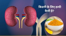 क्या हल्दी किडनी स्टोन का कारण बनती है? क्या इसे खाने से Kidney में सूजन बढ़ती है, जानिए