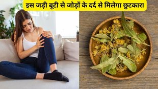 uric acid control tips, uric acid, home remedies of uric acid, how to control uric acid,gokhru for uric acid control, baba ramdev home remedies for uric acid control,