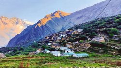 उत्तराखंड में फॉरेस्ट फंड के पैसों से खरीदे गए iPhone और लैपटॉप, CAG की रिपोर्ट में चौंकाने वाले खुलासे