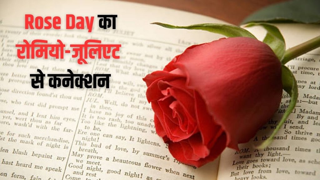 Happy Rose Day 2025 Date, Importance, History