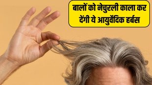 White hair । White hair remedies । Ayurvedic Herbs To Naturally Darken Grey Hair