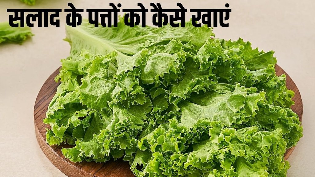 lettuce leaves recipe in hindi