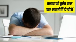 Foods For Stress: एंग्जाइटी या तनाव महसूस हो तो खा लें ये 4 चीजें, तुरंत शांत हो जाएगा दिमाग, महसूस करेंगे बेहतर