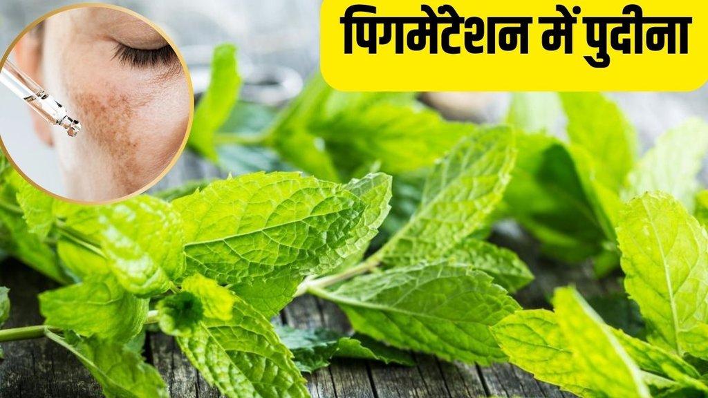Mint leaf for pigmentation