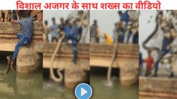 अजगर के साथ स्टंट न करें! 15 फुट विशाल सांप को अपने पैरों से नदी से बाहर खींचने लगा शख्स, Viral Video सहमे लोग