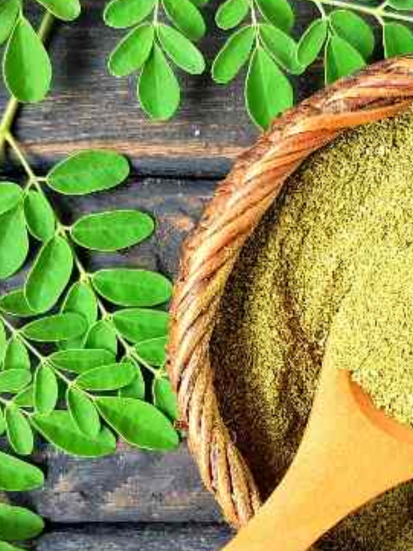 benefits of moringa leaves, body Detox, Cholesterol, sugar Control, moringa ke fayde in hindi, moringa ke fayde, moringa leaves for body Detox, moringa leaves for Cholesterol
