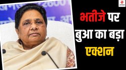 BSP Akash Anand Expulsion: आकाश आनंद बसपा से निष्कासित, मायावती ने किया ऐलान