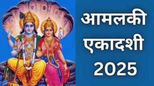 Lord Vishnu Chalisa, Amalaki Ekadashi 2025 Date, Amalaki Ekadashi 2025 Muhurat, Amalaki Ekadashi 2025 Paran Time, Lord Vishnu Chalisa on Amalaki Ekadashi 2025, Lord Vishnu Chalisa Lyrics in Hindi, Vishnu Chalisa Ka Paath, Amalaki Ekadashi 2025 Tithi, When is Amalaki Ekadashi 2025