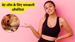 ये 3 आयुर्वेदिक औषधियां वेट लॉस से लेकर BP-Sugar तक करेगी कंट्रोल, एक्सपर्ट से जानिए कैसे करें इस्तेमाल