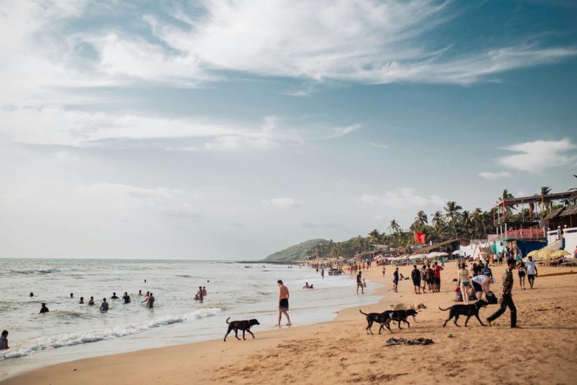 Baga Beach, Goa
