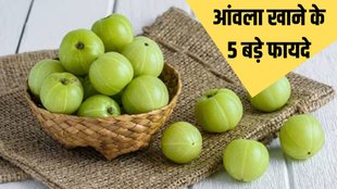Benefits Of Eating Amla । Amla Eating Benefits