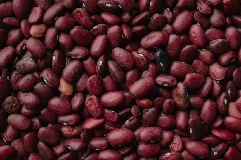 Brain development foods